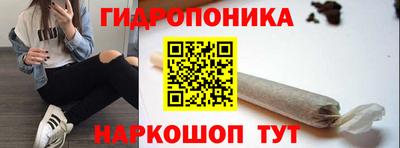 дмт Краснодар