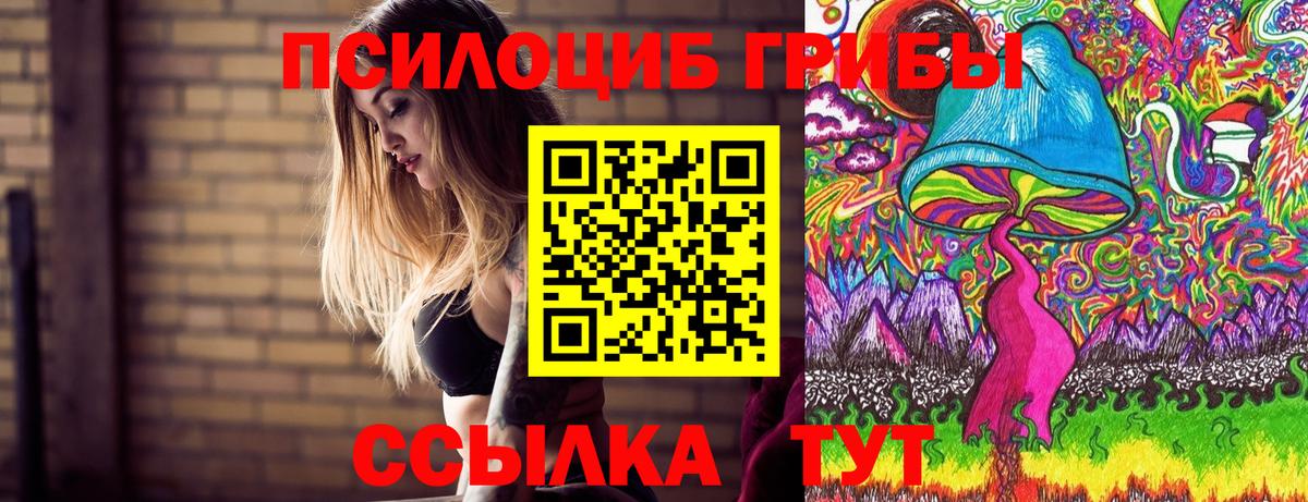 Псилоцибиновые грибы мухоморы  Галлюциногенные грибы прущие грибы  Вход с VPN  Шадринск 