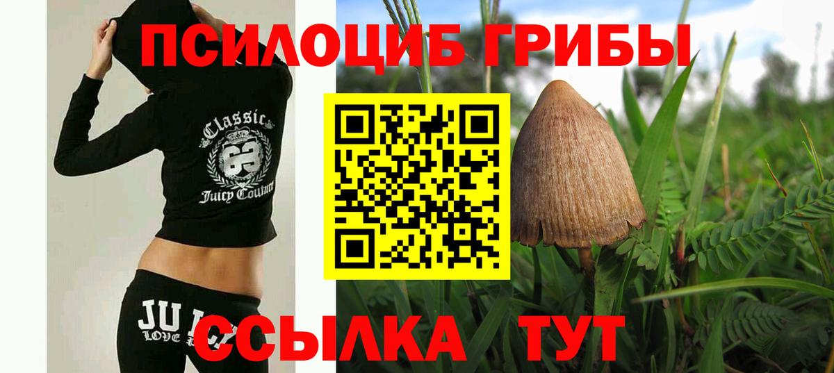 Галлюциногенные грибы прущие грибы Шадринск